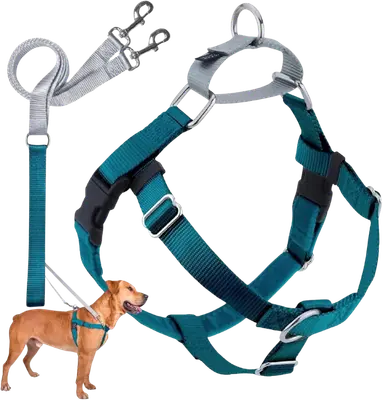 Teal 2 Hounds Design Freedom dog harness with matching double-ended leash
