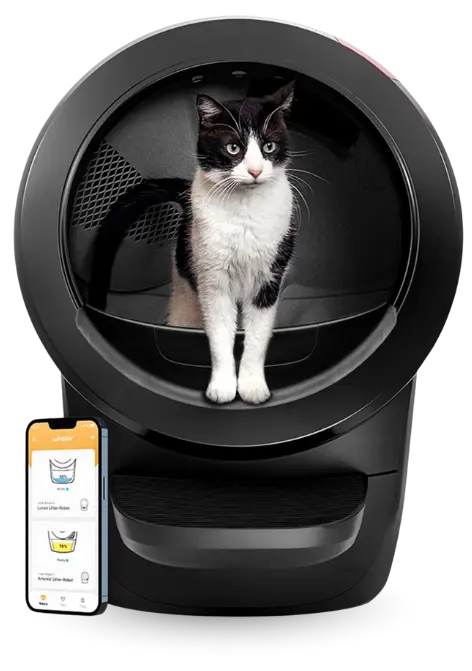 Black and white cat sitting inside the Whisker Litter-Robot 4 automatic litter box that works with Pretty Litter, with mobile app shown.