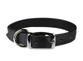 Classic black OmniPet Signature leather dog collar with nickel buckle