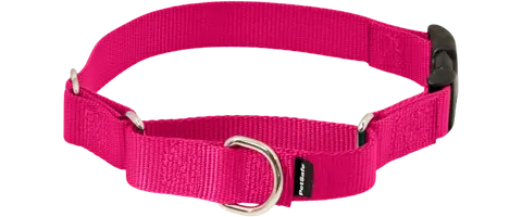 PetSafe quick-snap buckle martingale dog collar blue