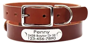 Mimi Green personalized leather dog collar with engraved nameplate