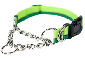 leather martingale collar for dogs β Mighty Paw