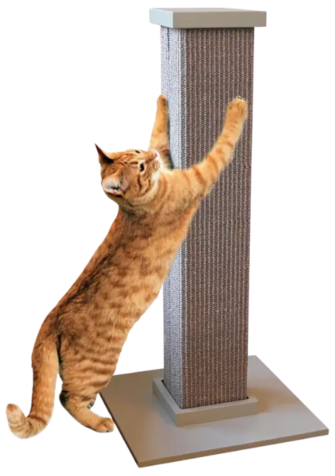 SmartCat sisal scratching post for indoor cats