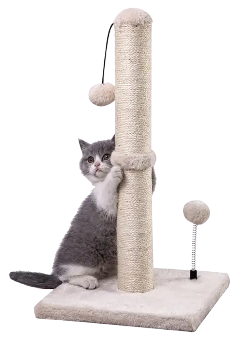 MECOOL kitten scratching post with hanging ball toy