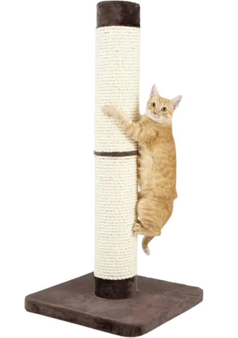 MidWest tall cat scratching post for large and active cats
