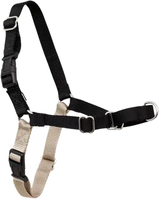 AUROTH tactical dog harness with top handle, MOLLE panels and leash attachment rings