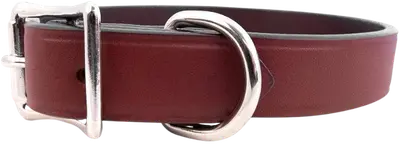 Burgundy Auburn Leathercrafters flat leather dog collar with silver buckle and D-ring