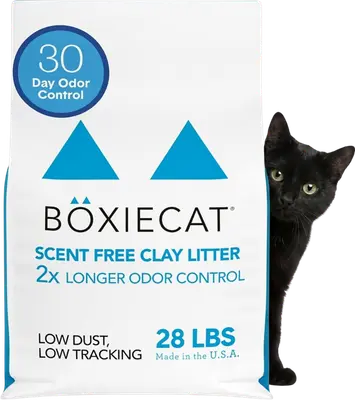 Boxiecat Unscented Odor Control clumping clay cat litter bag