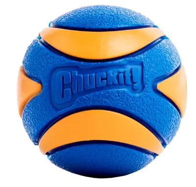 Chuckit Ultra Squeaker rubber dog ball for fetch and outdoor play