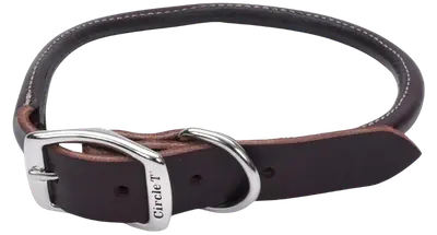 Brown Circle T latigo leather round dog collar with silver buckle and narrow rounded strap
