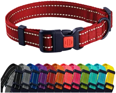 CollarDirect reflective nylon dog collar with locking side-release buckle