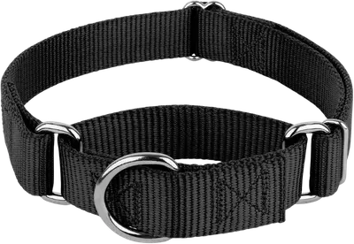 Black Country Brook Heavy-Duty nylon martingale collar with metal rings and buckle-free pull-on design