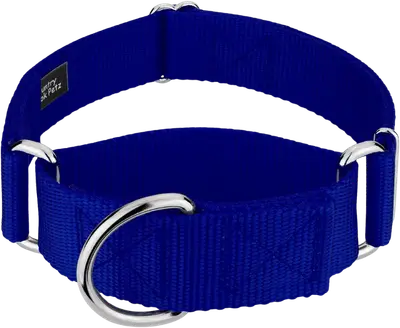 Blue Country Brook HossFit Jr 1.5-inch-wide martingale collar with metal rings and buckle-free design