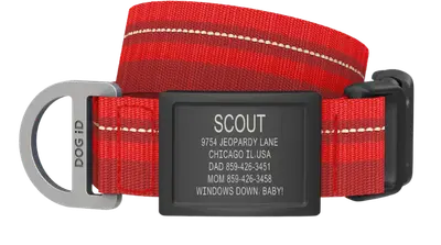 DOG iD red nylon collar with a removable graphite identification plate