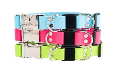 Waterproof Fox Valley breakaway dog collar with coated strap and two metal D-rings
