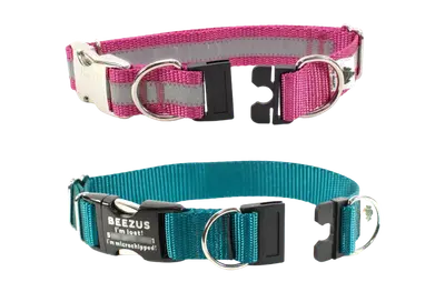 Reflective Fox Valley breakaway dog collar with engraved buckle and dual leash rings