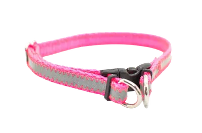Narrow 3/8-inch Fox Valley breakaway collar designed for toy-sized dogs
