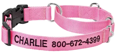 Frisco pink martingale dog collar embroidered with a name and contact number