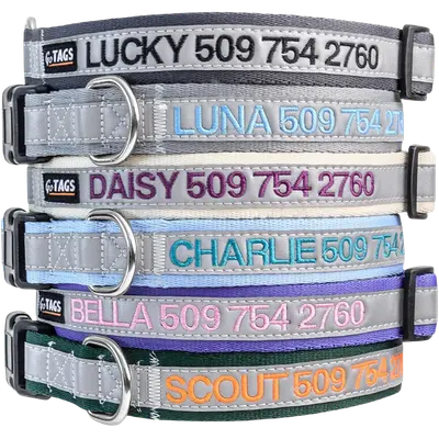 GoTags gray reflective dog collar embroidered with a name and phone number