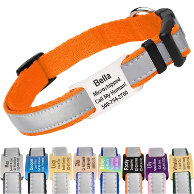 Orange GoTags reflective nylon dog collar with black quick-release buckle and stainless-steel nameplate