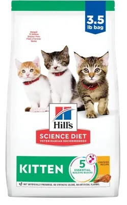 Hill’s Science Diet Kitten chicken recipe dry cat food in a 3.5-pound bag