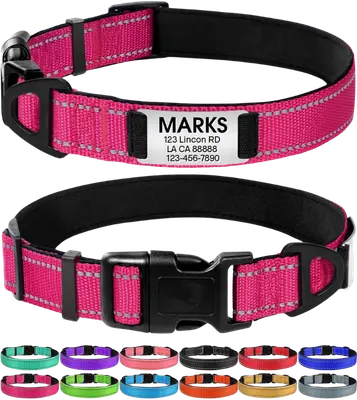 Joytale pink reflective dog collar with padded lining and an engraved nameplate