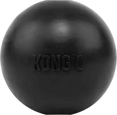 KONG Extreme Ball for medium and large aggressive chewers
