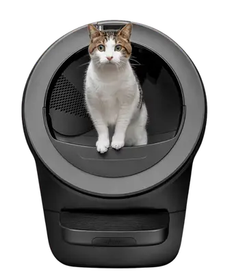 Black Litter-Robot 5 automatic self-cleaning litter box