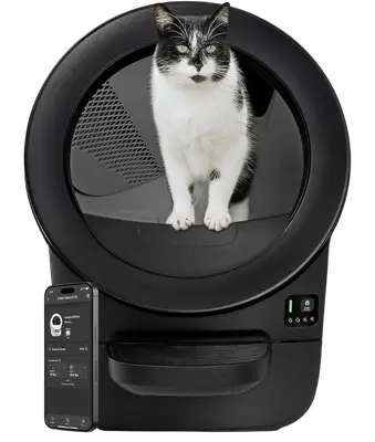Black Litter-Robot EVO compact automatic litter box