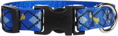 LupinePet Original Designs patterned nylon dog collar with quick-release buckle