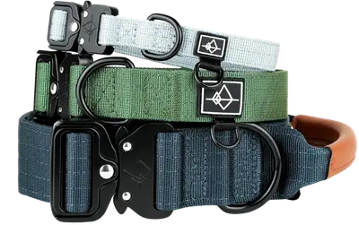 MADE TO ROAM control dog collar with metal buckle and flat vegan-leather handle