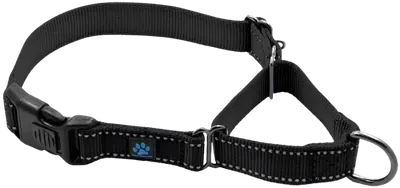 Max and Neo chain martingale dog collar with reflective stitching
