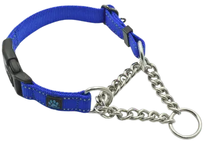 Blue Max and Neo reflective martingale collar with buckle and stainless-steel chain control loop