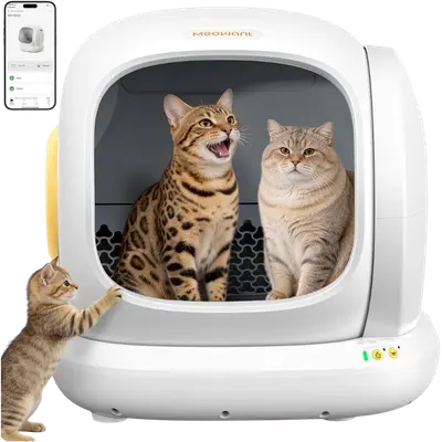 White Meowant MW-SC02 automatic litter box with yellow accents, two adult cats inside, a kitten at the entrance, and the AIRPET app shown beside it.