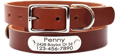 Mimi Green brown leather dog collar with a fixed engraved nameplate