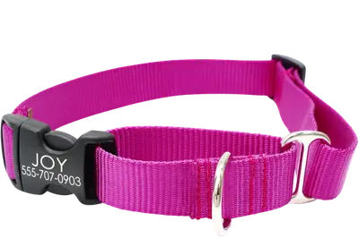 Raspberry Mimi Green martingale collar with a personalized name and phone number on the black buckle