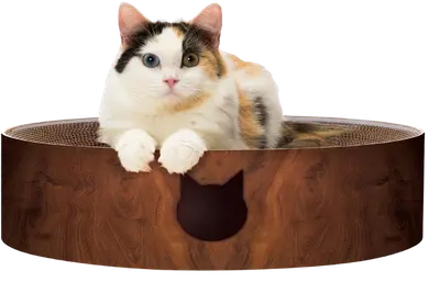 Necoichi round cardboard cat scratcher bowl with reversible center pad