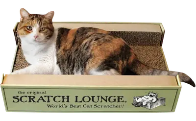Original Scratch Lounge XL with green cardboard sides and three scratching surfaces
