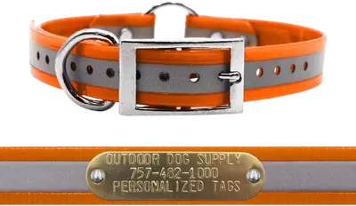 Orange Outdoor Dog Supply 1-inch reflective center-ring collar with metal buckle, D-ring and brass nameplate
