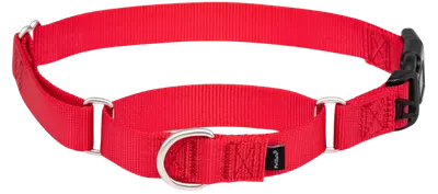Red PetSafe Quick Snap nylon martingale collar with plastic buckle and fabric control loop
