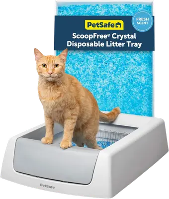 Gray PetSafe ScoopFree Crystal Classic with crystal litter tray
