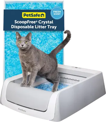 PetSafe ScoopFree Crystal Pro Legacy open litter box with crystal litter