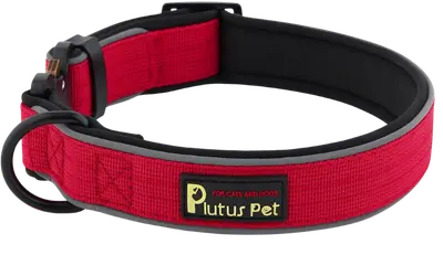 Red Plutus Pet reflective dog collar with neoprene padding and metal buckle