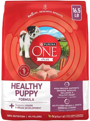Purina ONE Plus Healthy Puppy chicken formula dog food bag