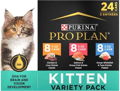 Purina Pro Plan DEVELOPMENT Kitten Favorites wet kitten food variety pack