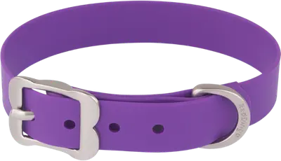 Red Dingo Vivid PVC waterproof dog collar with coated webbing, a traditional pin buckle, and metal D-ring.
