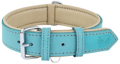 Aqua Riparo wide padded leather dog collar with silver buckle and cream-colored lining