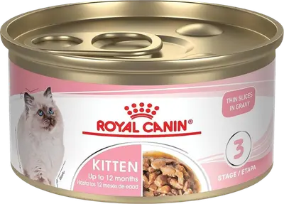 Royal Canin Kitten Thin Slices in Gravy 3-ounce canned cat food