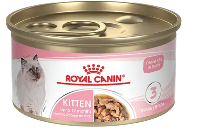 Royal Canin Kitten Thin Slices in Gravy wet cat food can for kittens up to 12 months