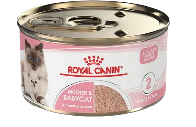 Royal Canin Mother and Babycat Ultra Soft Mousse canned cat food